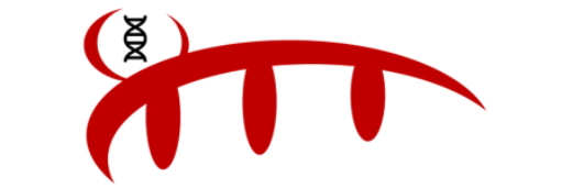 cropped cropped bild4.png