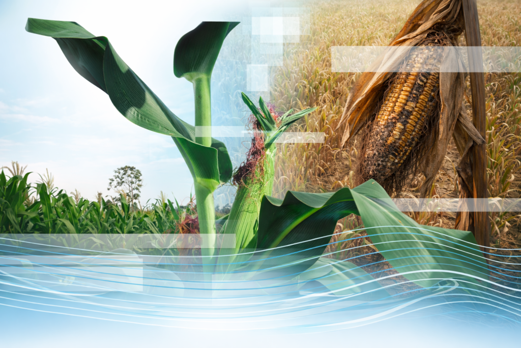 chatgpt image 25. jan. 2026, 15 04 36